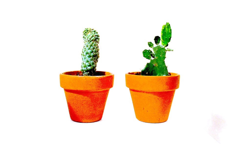 Le mode de vie minimaliste, comprendre le concept et&nbsp;l’appliquer!