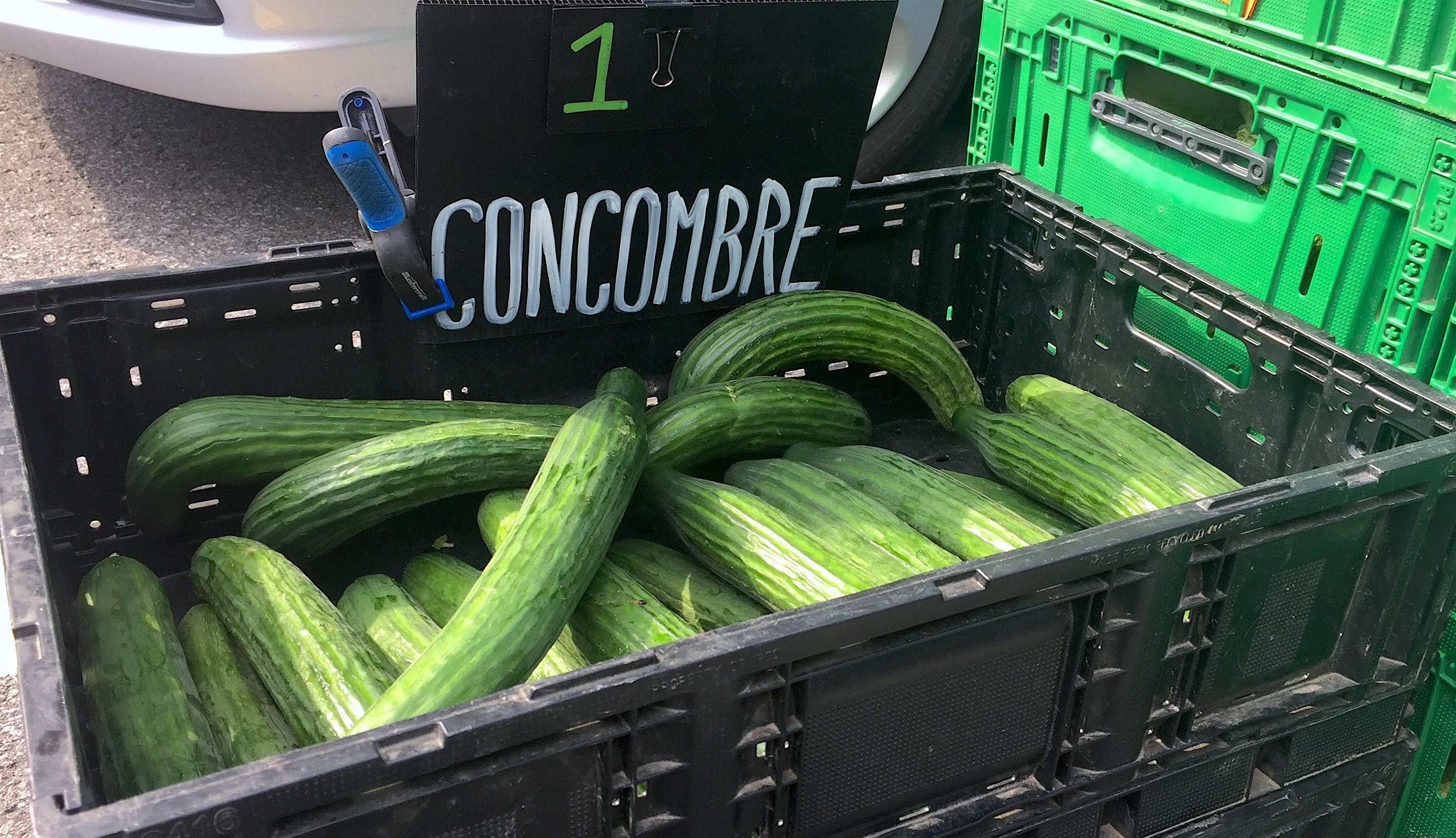 Manger des fruits/légumes biologiques, locaux et de saison avec un panier BIO, la solution!