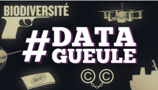 Data Gueule