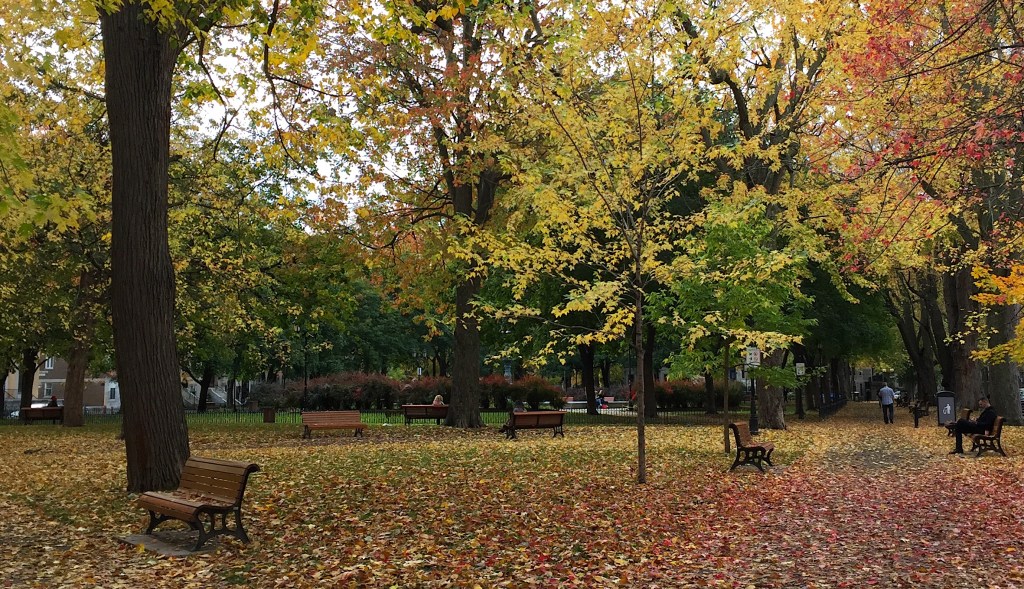 Bon matin Lundi&nbsp;#5