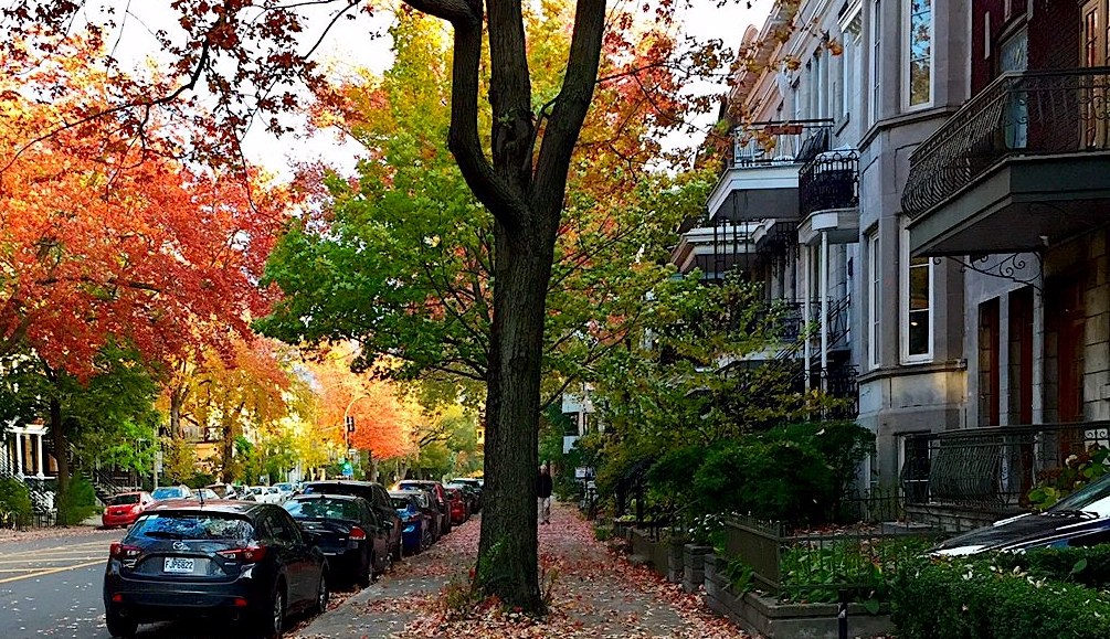 Bon matin Lundi&nbsp;#4