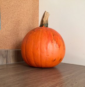 Citrouille décorée aux feutres