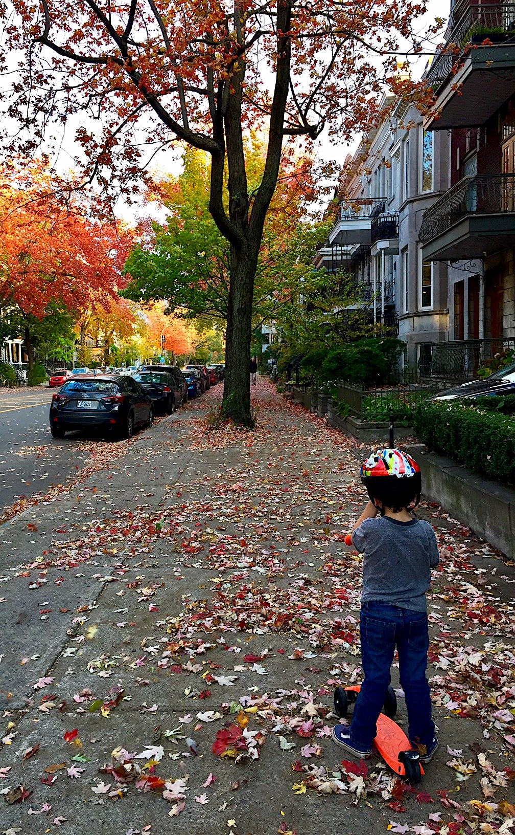 Balade avec mini-moi
