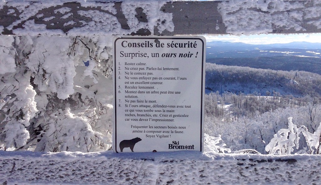 La liste de mes envies, un hiver à Montréal