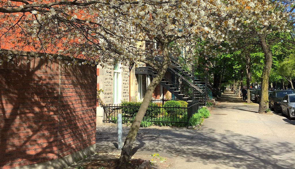 La liste de mes envies, un printemps à&nbsp;Montréal