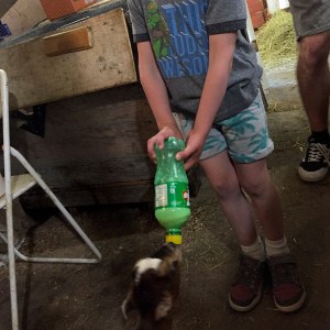 Mini-moi-et-le-chevreau-slowandcute